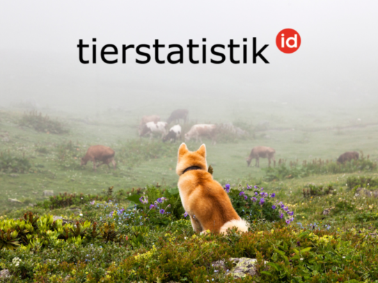 20230713 MM Tierstatistik