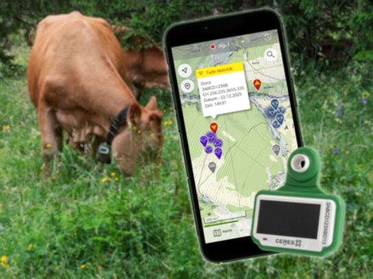 Tag4 Farm Header Desktop Rind 2 3zu4